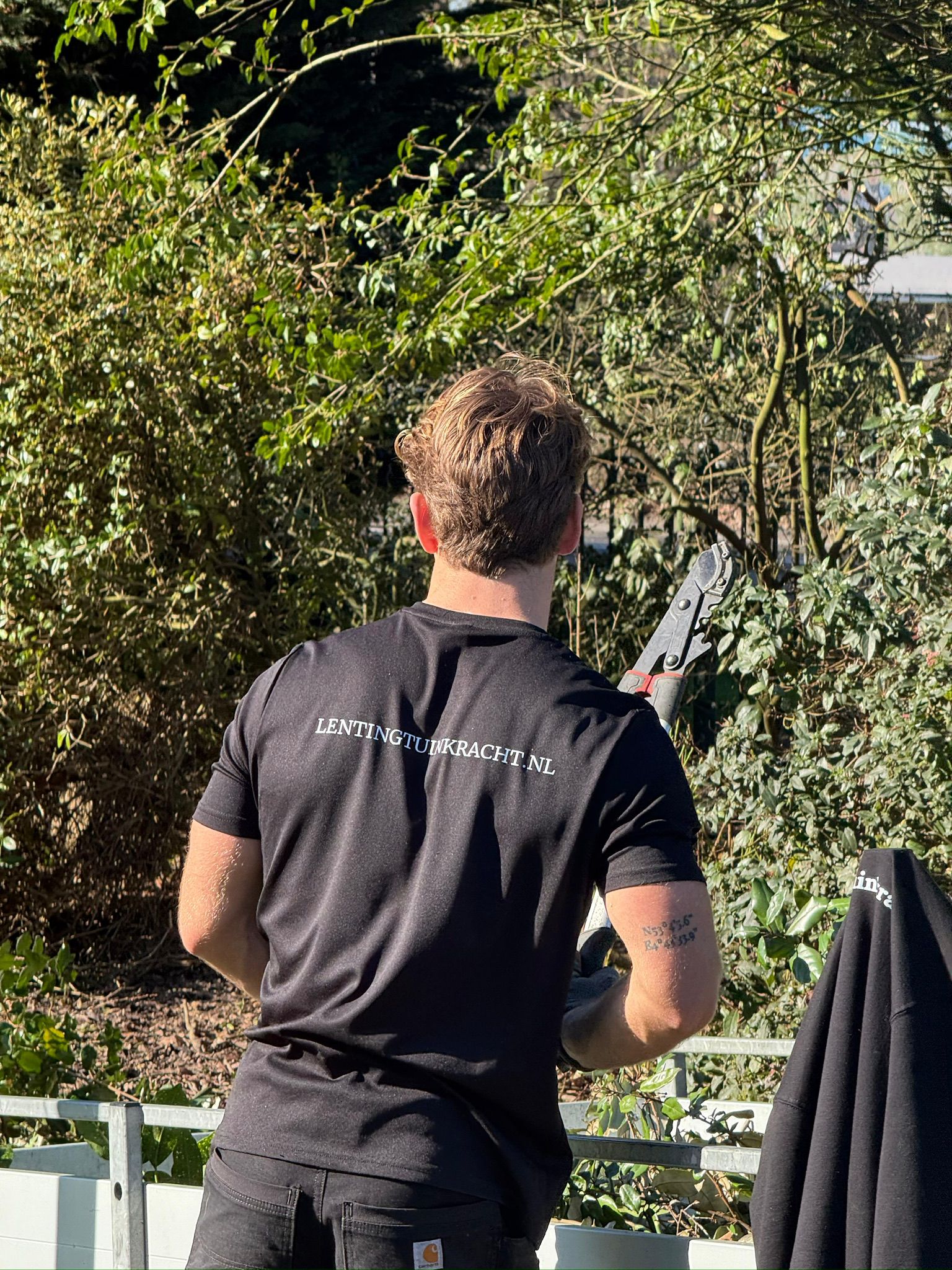 Sil Lenting aan het werk met snoeischaar - Lenting Tuinkracht hovenier in de Bollenstreek